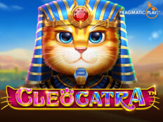 Dragon tiger casino online73